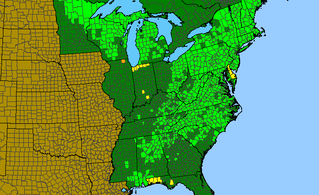 The range of Epigaea repens